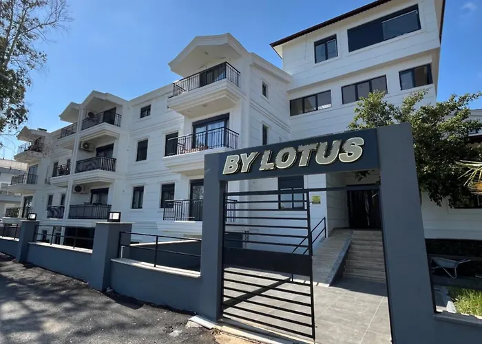 Sidebylotus * Side